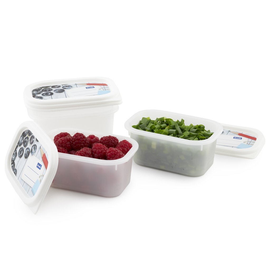 Rotho Domino Diepvriesdozen Etiket Decor 4X0.2L Wit