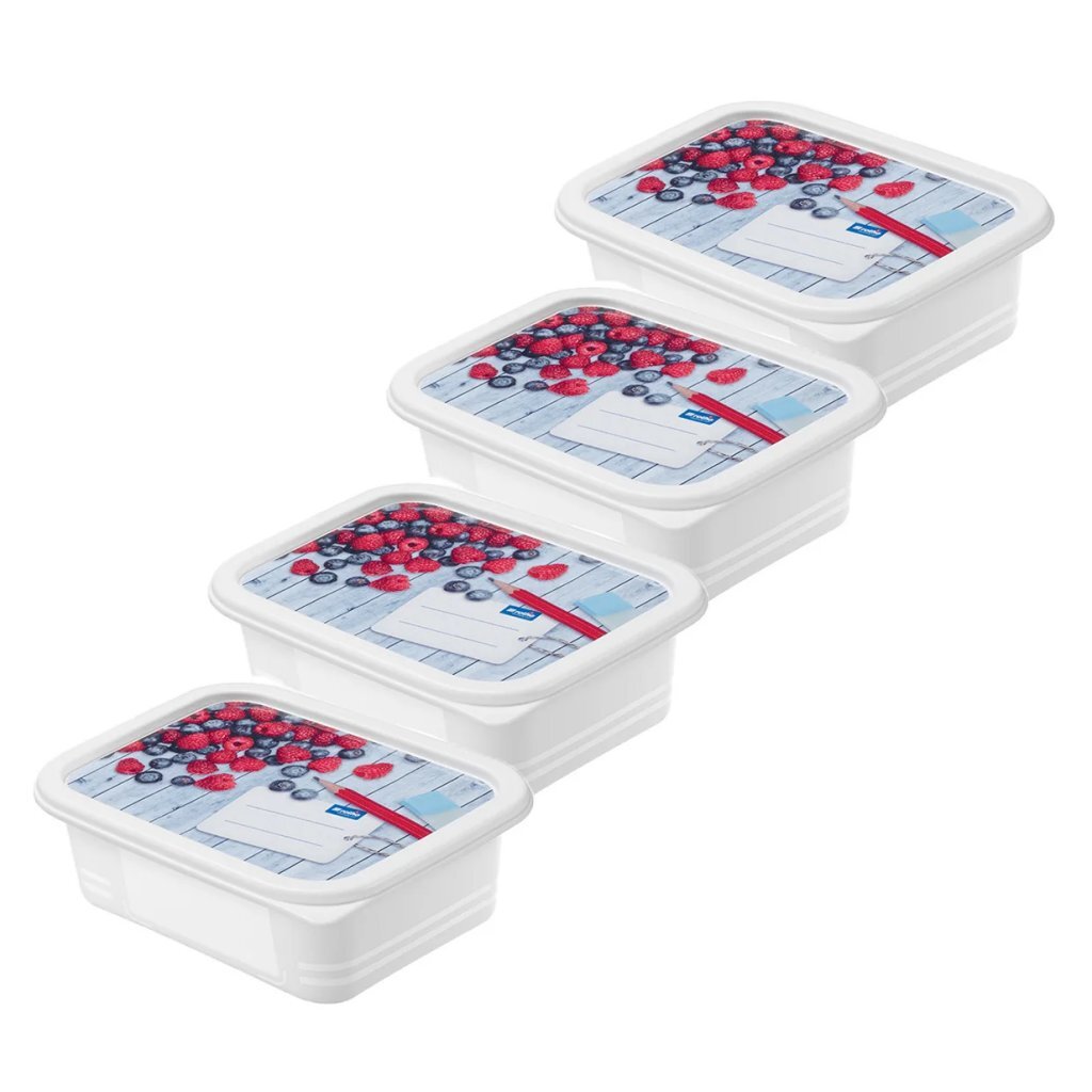 Rotho Domino Diepvriesdozen Etiket Decor 4X0.5L Wit