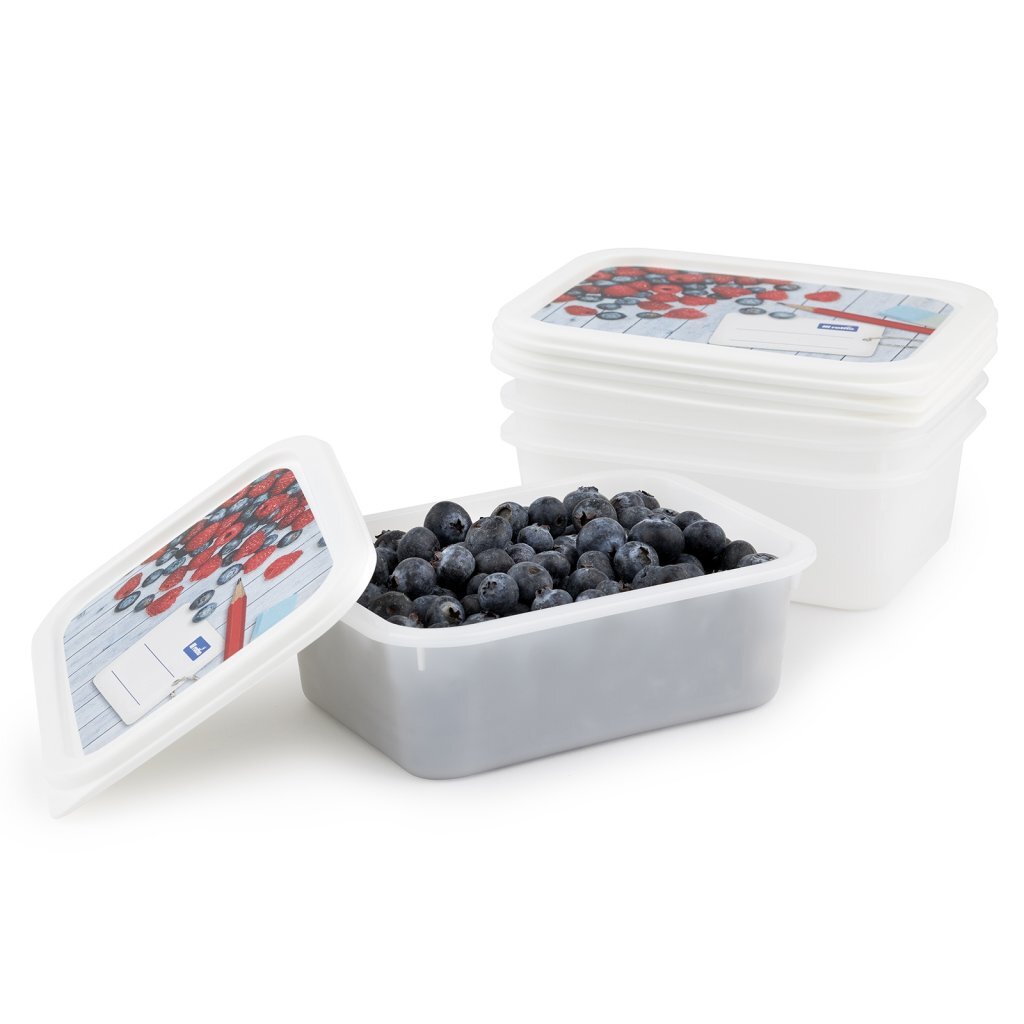 Rotho Domino Diepvriesdozen Etiket Decor 4X0.5L Wit