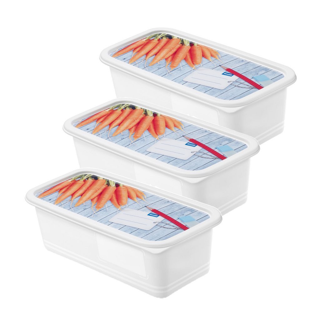 Rotho Domino Diepvriesdozen Etiket Decor 3X1.2L Wit