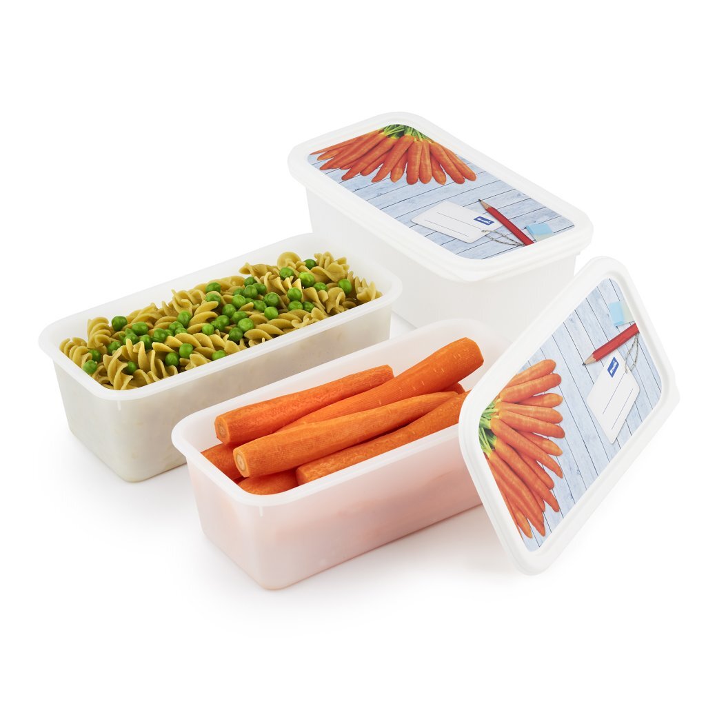 Rotho Domino Diepvriesdozen Etiket Decor 3X1.2L Wit