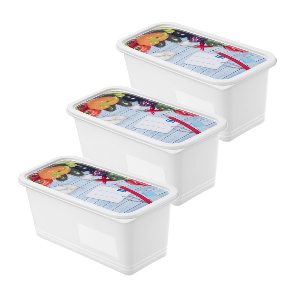Rotho Domino Diepvriesdozen Etiket Decor 3X1.5L Wit