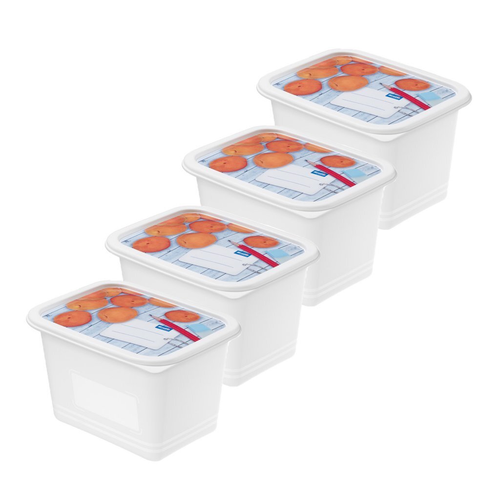 Rotho Domino Diepvriesdozen Etiket Decor 4X1L Wit