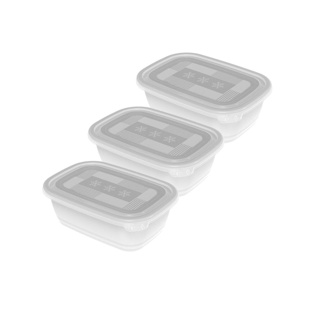 Rotho Freeze Diepvriesdozen 3X1L Transparant/Wit