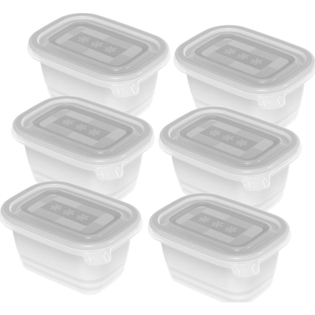 Rotho Freeze Diepvriesdozen 6X0.25L Transparant/Wit