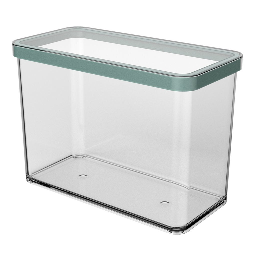 Rotho Loft Bewaardoos 20X10X14.2 Cm 2.1L Mistletoe Groen/Transparant