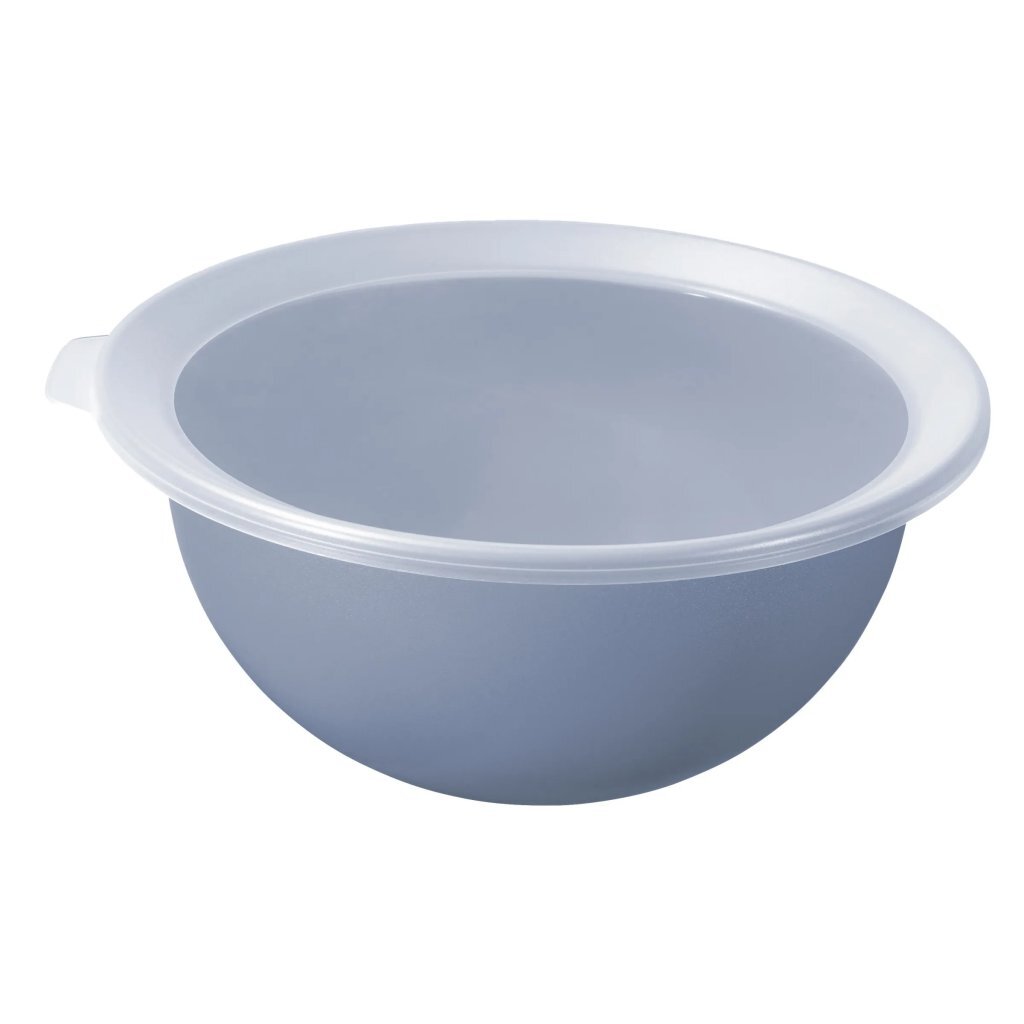 Rotho Caruba Schaal Met Deksel 1.8L Horizon Blauw/Transparant