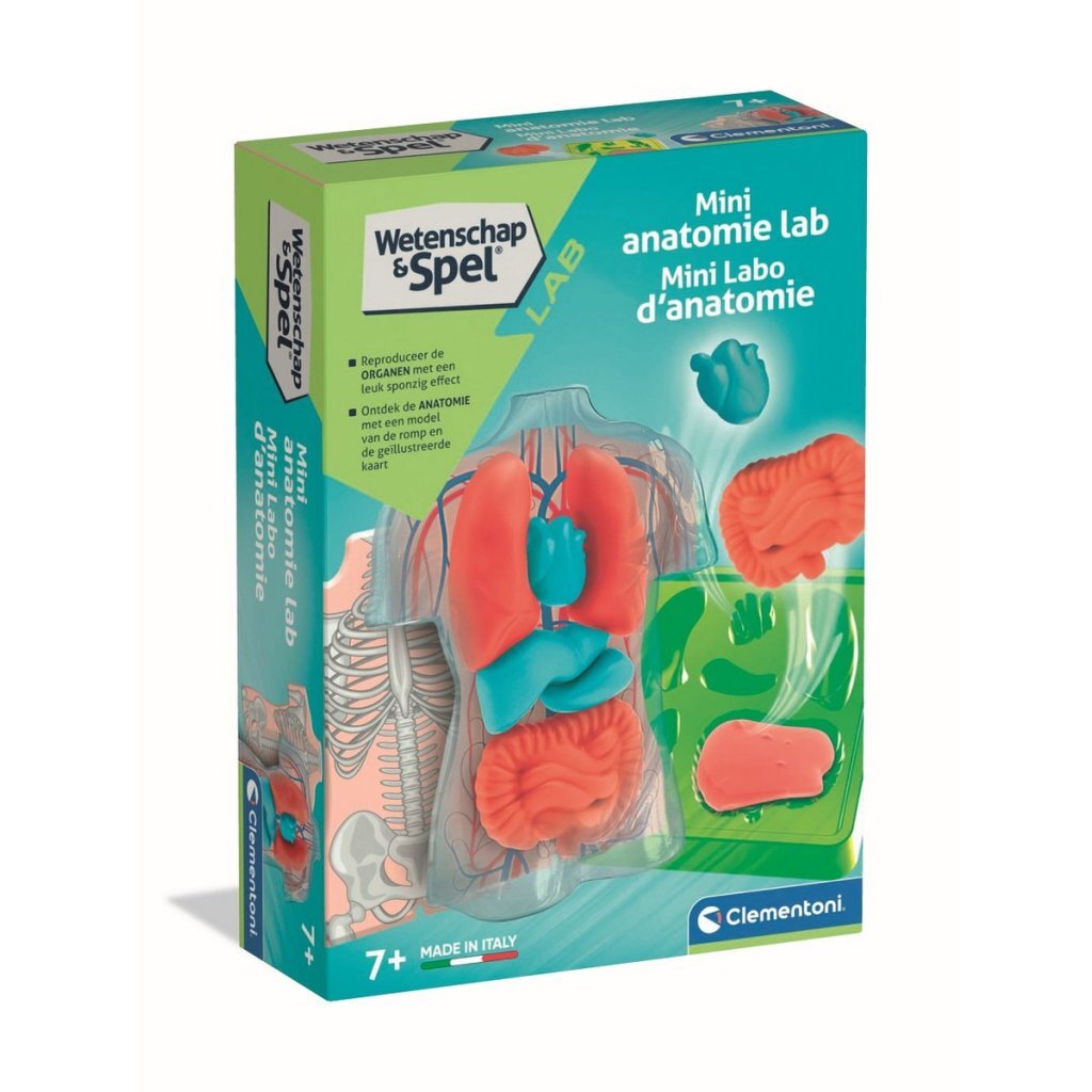 Clementoni Wetenschap &Amp; Spel Squishy Anatomie