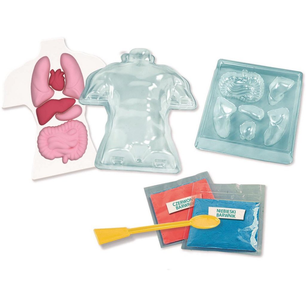 Clementoni Wetenschap &Amp; Spel Squishy Anatomie