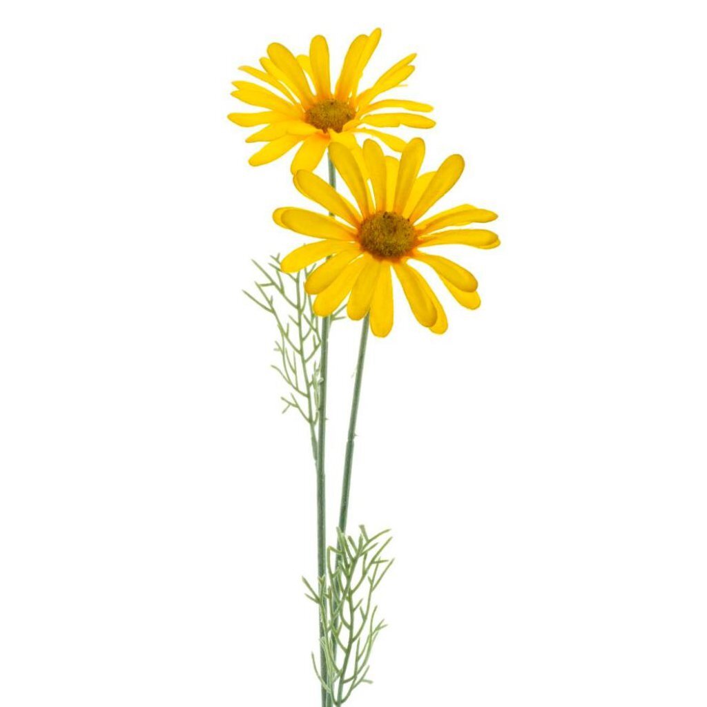 Overige Merken Kunstbloem Madeliefje 56 Cm Geel/Zijde