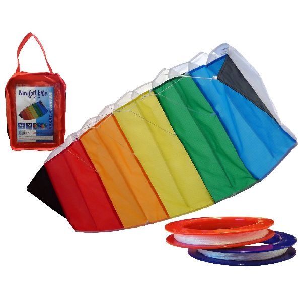 Basic Parafoil Stunter Kite 80X40Cm Met Tas
