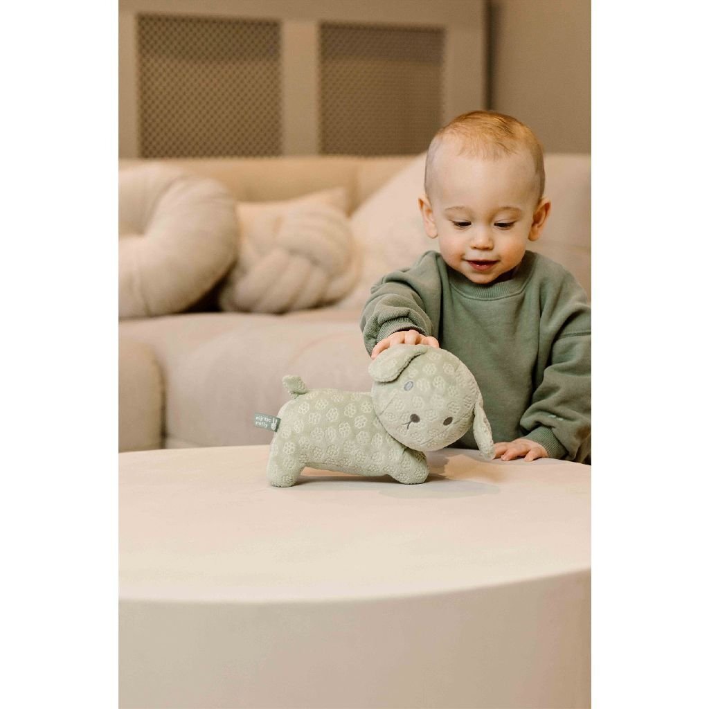 Nijntje Knuffel Snuffie 25 Cm Groen