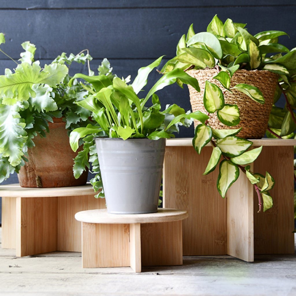 Esschert Design Bamboe Plantentafeltje 25X19.5 Cm