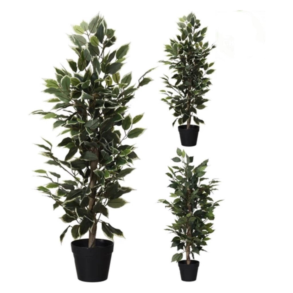 Overige Merken Kunstplant Ficus 95 Cm Groen/Wit