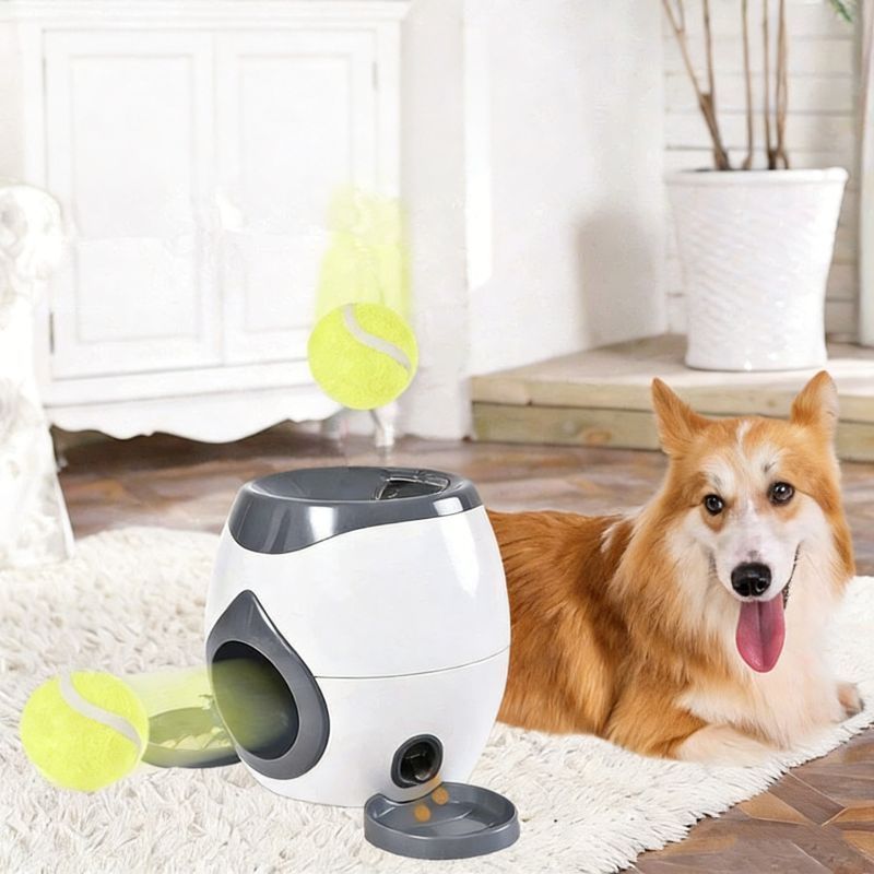 Ceruzo Snackdispenser Voor Honden - Beloningsspel