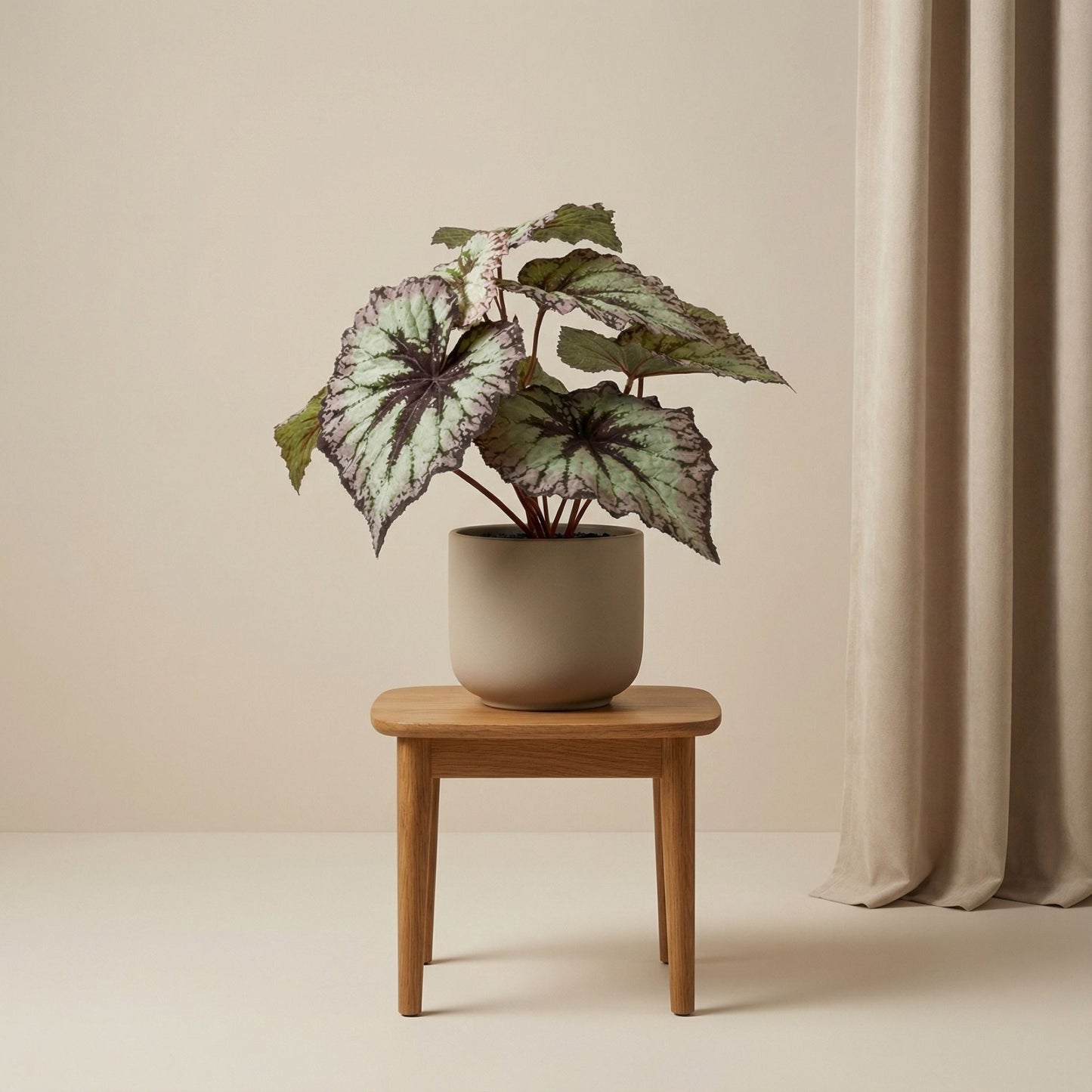 Begonia 26 Cm - Potted - Grey Purple Leaves - Artificial Plant - Uv - Indoor & Outdoor