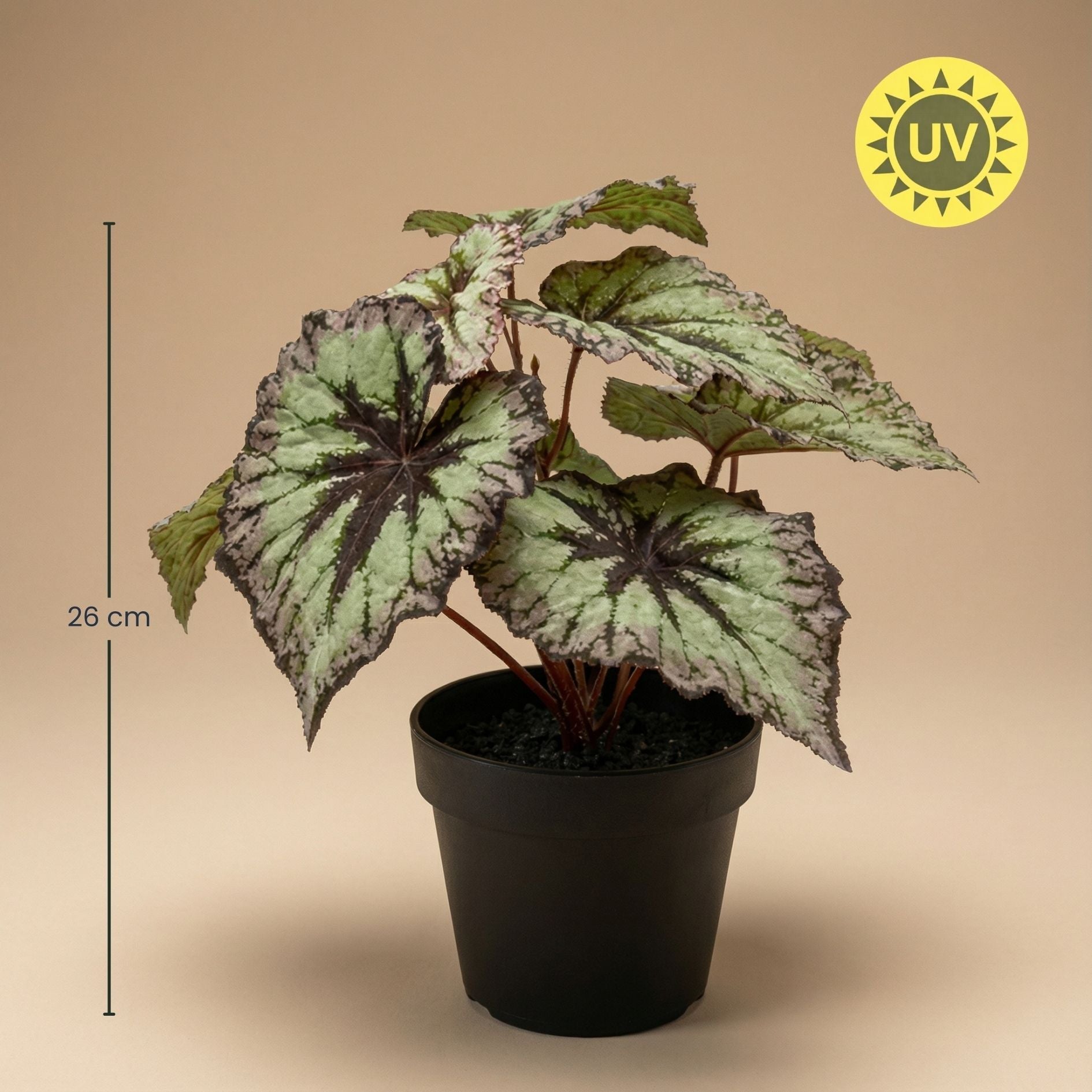 Begonia 26 Cm - Potted - Grey Purple Leaves - Artificial Plant - Uv - Indoor & Outdoor