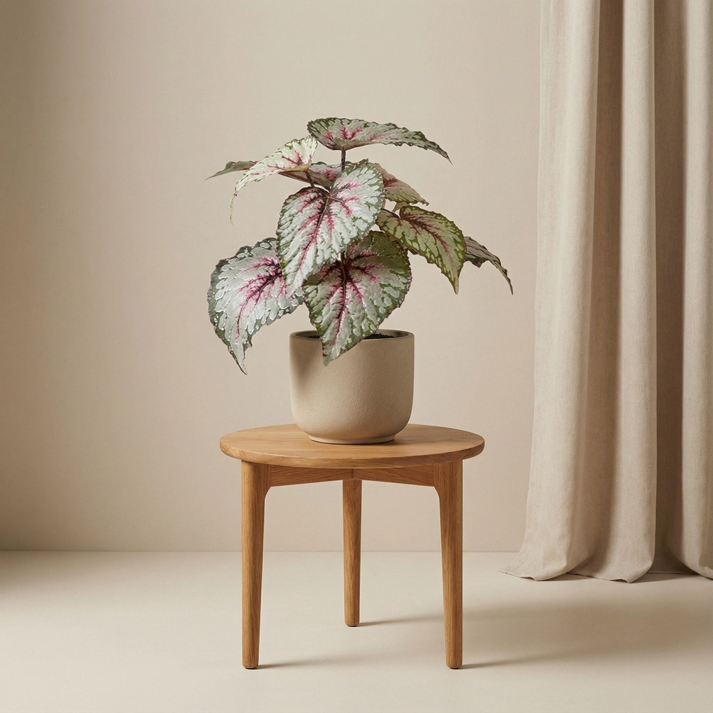 Begonia 26 Cm - Potted - Artificial Plant - Uv - Indoor & Outdoor