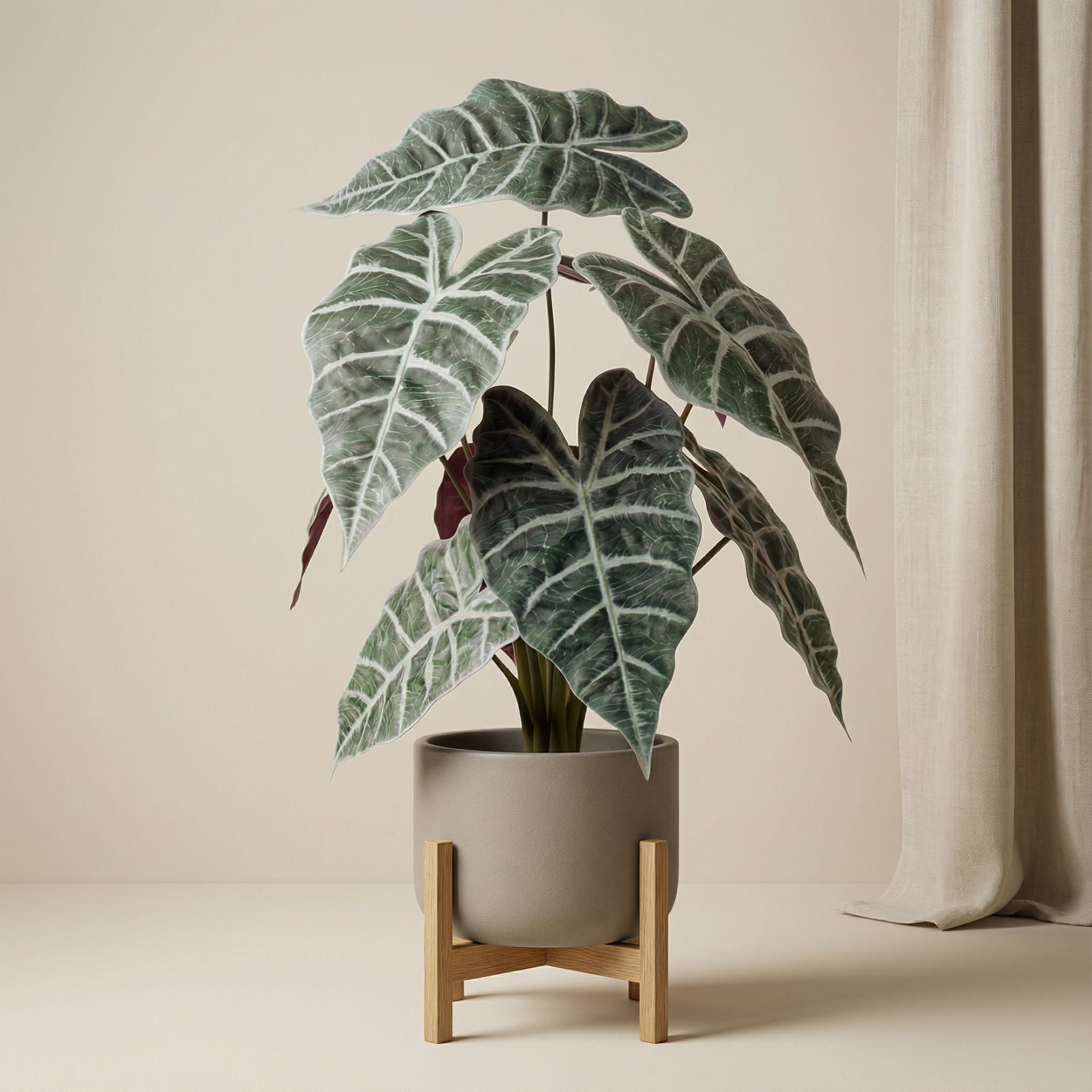 Alocasia Bush In Pot 40 Cm - Artificial Plant