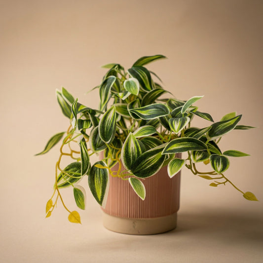 Tradescantia Green/White In Pot - 19 Cm - Artificial Plant