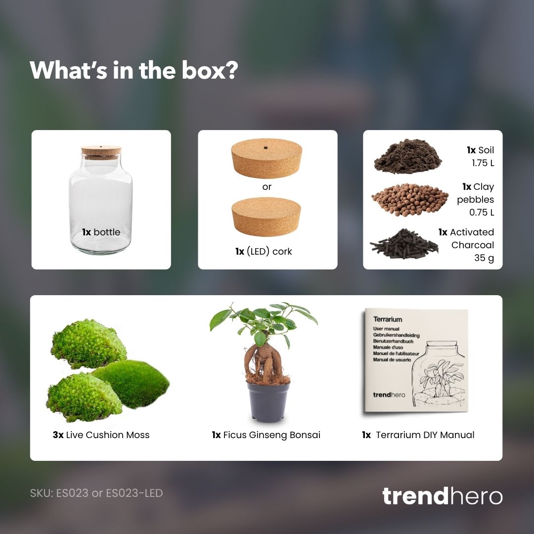 Milky Bonsai - Terrarium - Bottle Garden Diy Kit - Ø 21 Cm ↑ 30 Cm