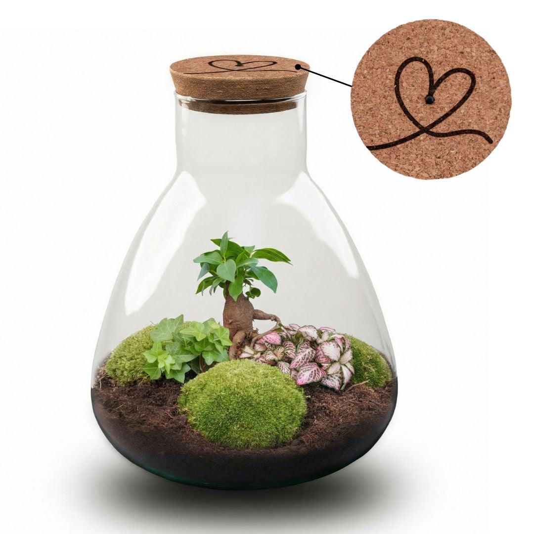 'Love Mom' Terrarium Sam + Engraved Cork With Light - Bottle Garden Diy Kit - Ø 24.5 Cm ↑ 30 Cm - Mother’s Day