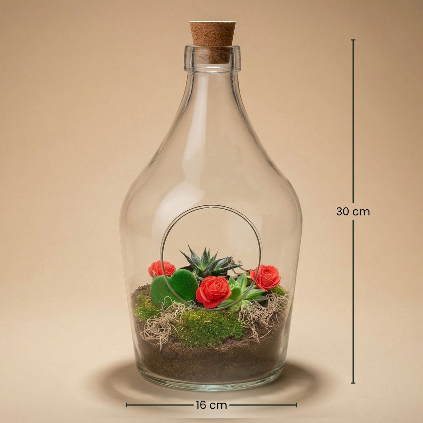 Love In A Bottle - Open Terrarium With Cork - Bottle Garden Diy Kit - Ø 16 Cm ↑ 30 Cm