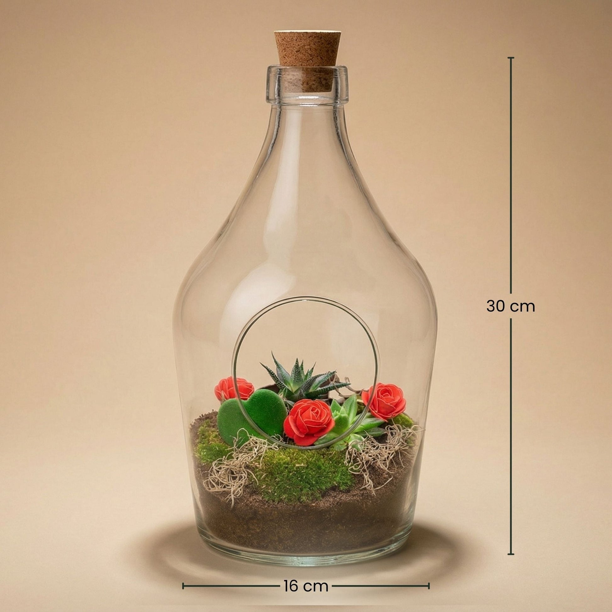 Love In A Bottle - Open Terrarium With Cork - Bottle Garden Diy Kit - Ø 16 Cm ↑ 30 Cm