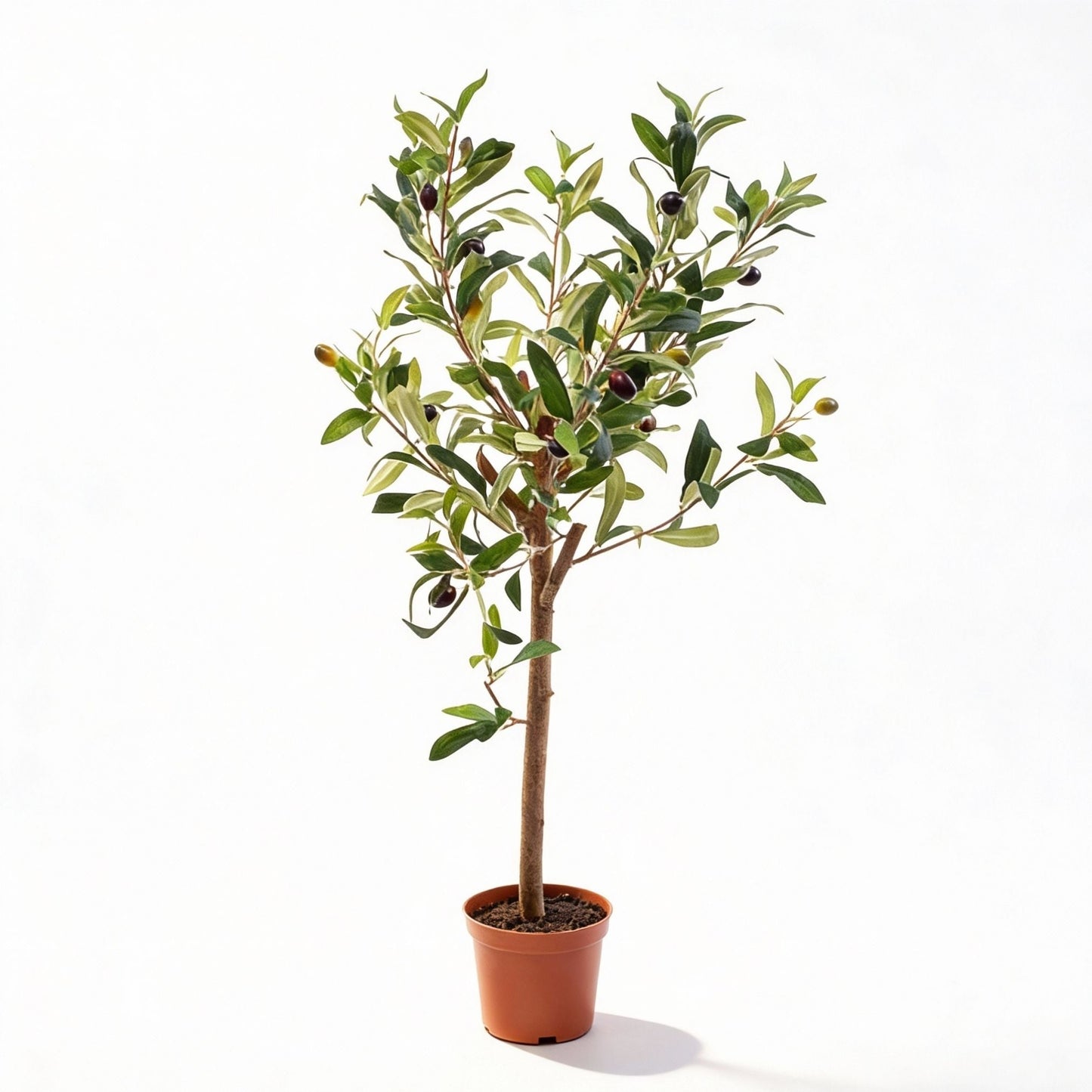 Olive Mini Tree In Pot 65Cm – Artificial Plant