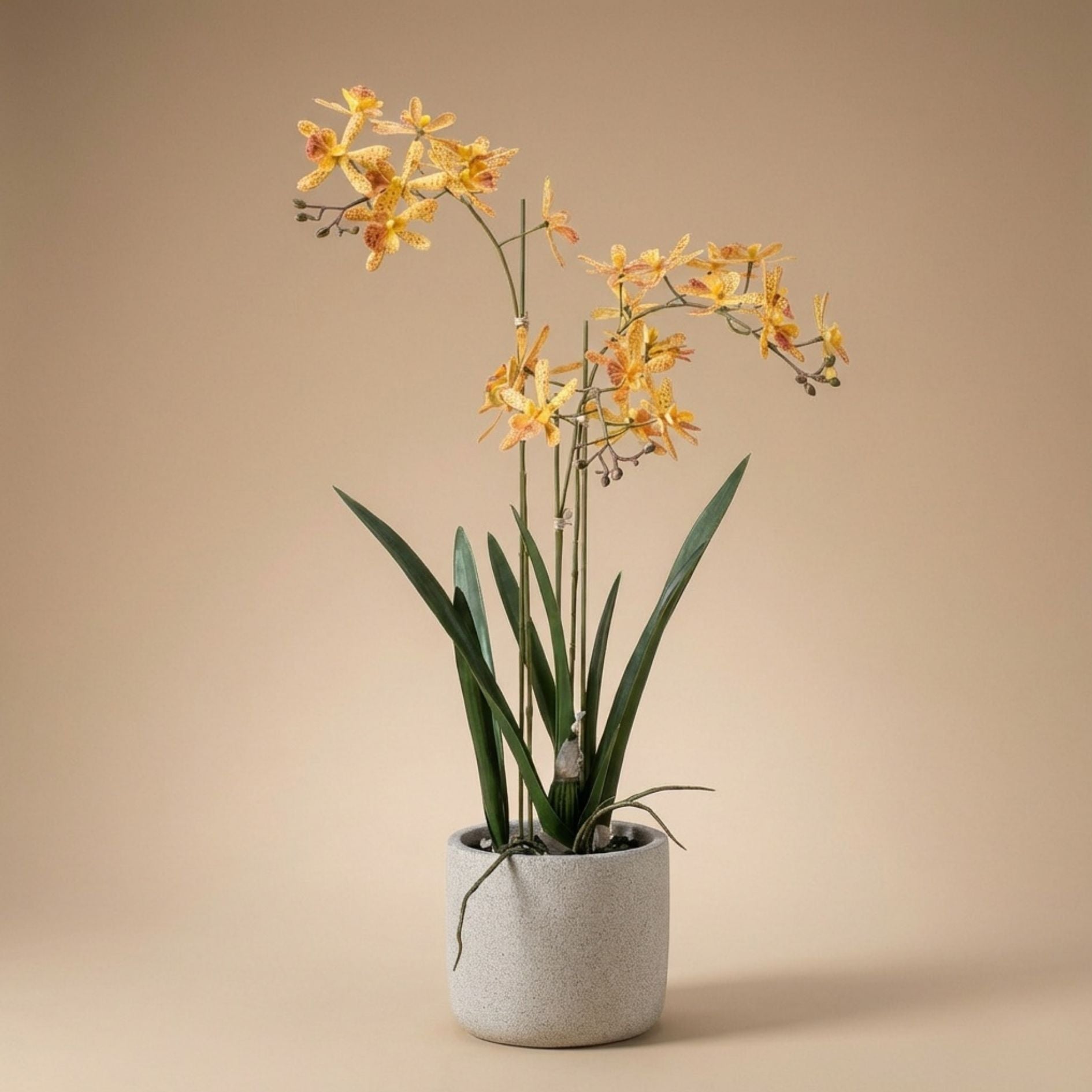 Renanthera Orchid Yellow & Orange In Pot - 56 Cm - Artificial Plant