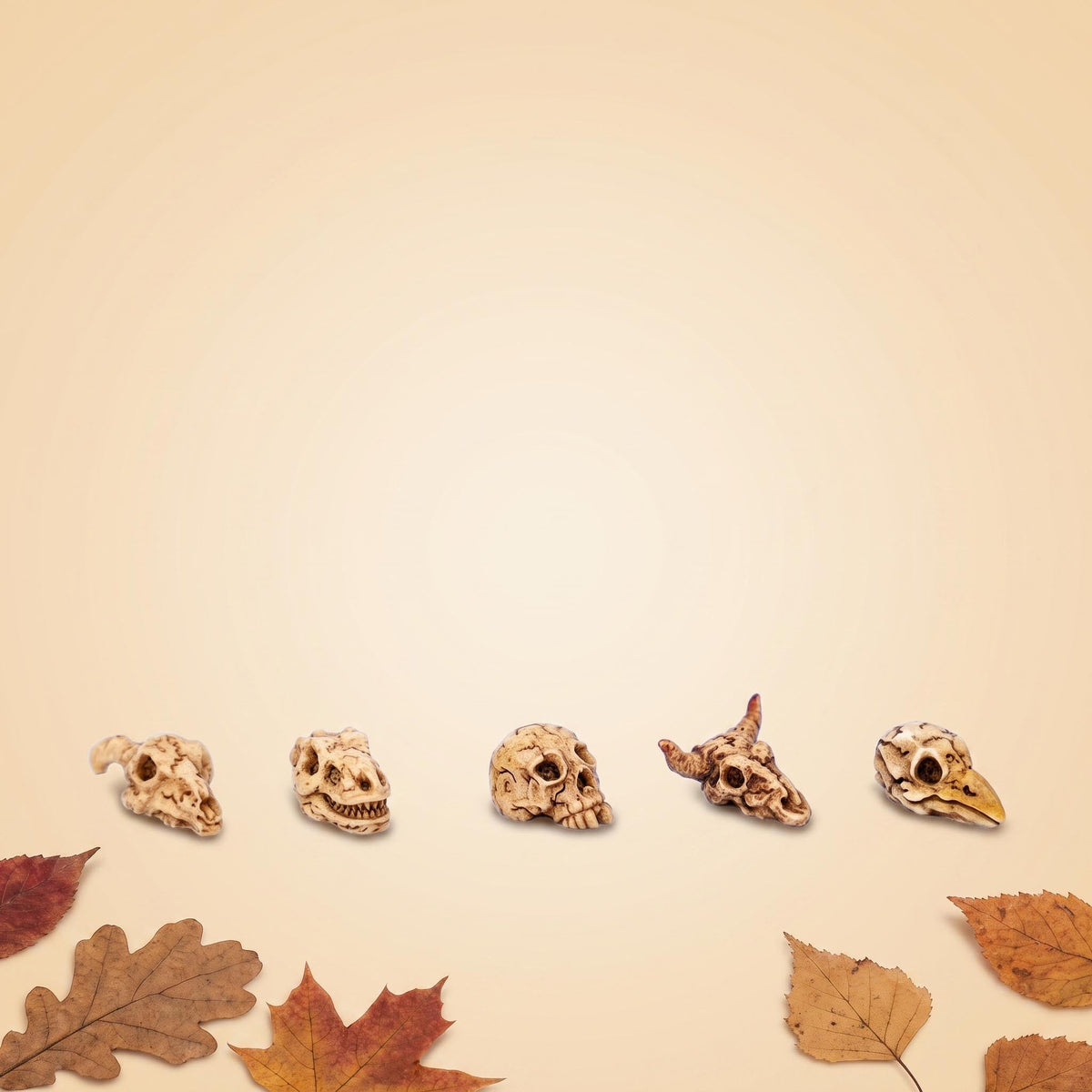 Mini Skull Set - 5 Pcs - Miniature Figurines ↔ 2 Cm ↑ 1 Cm