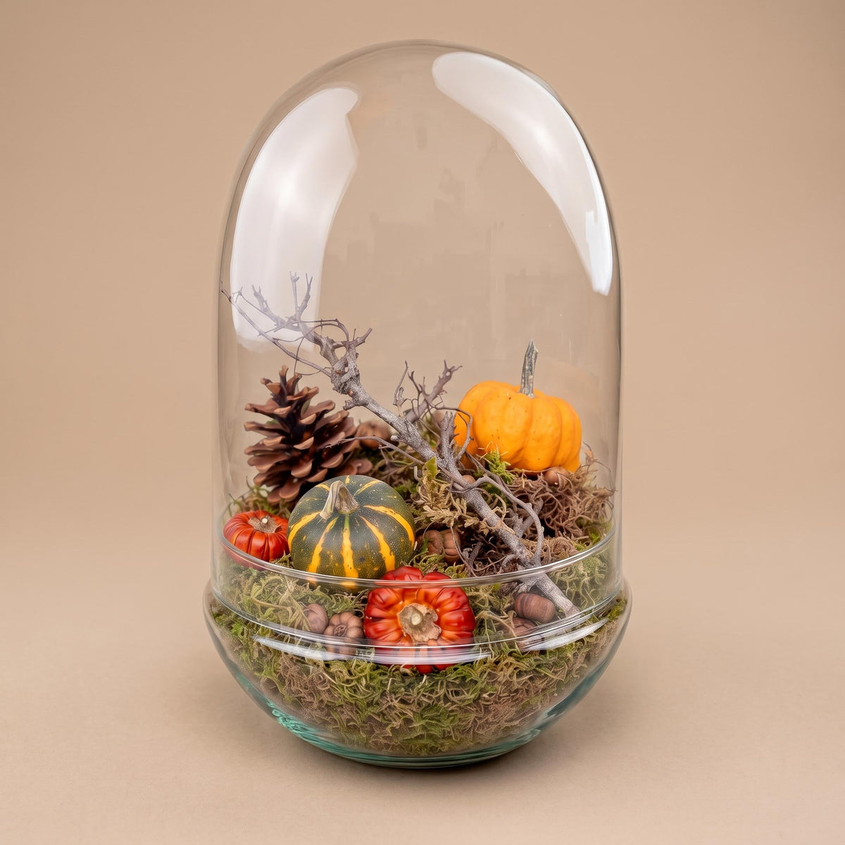 Autumn Closed Terrarium - Egg Xl With Deco Kit Medium 2 Pumpkins