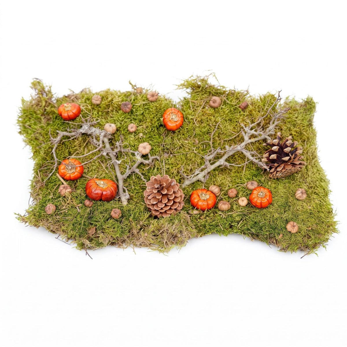 Autumn Deco Kit - Dried Pumpkins, Flat Moss, Bonsai Wood, Cones