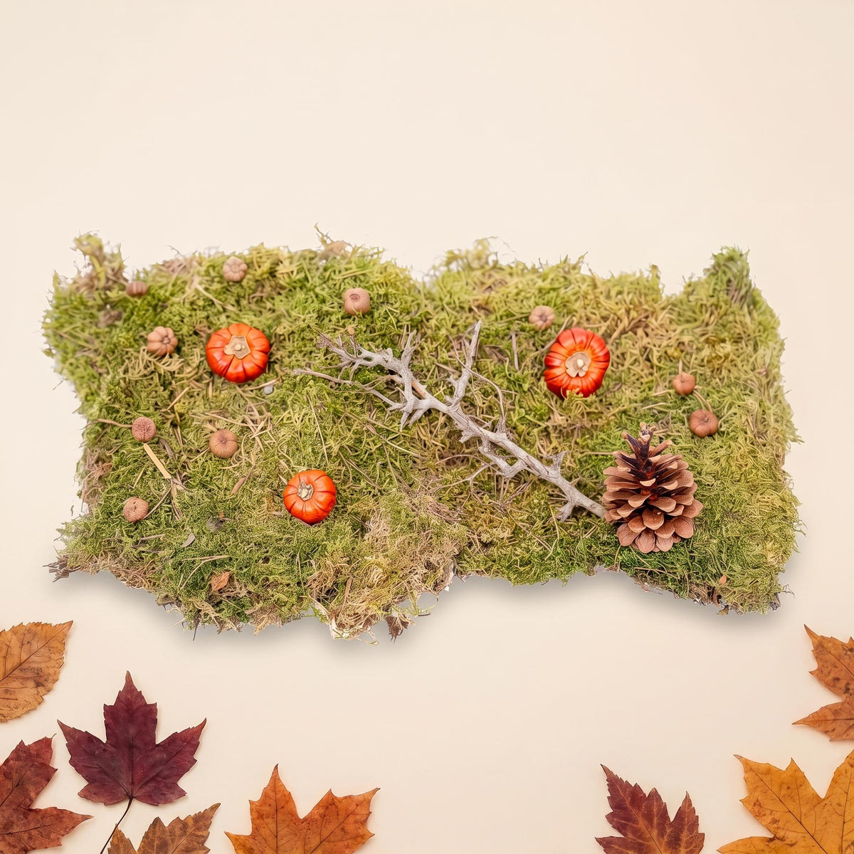 Autumn Deco Kit Medium - Pumpkins, Moss, Wood And Cones