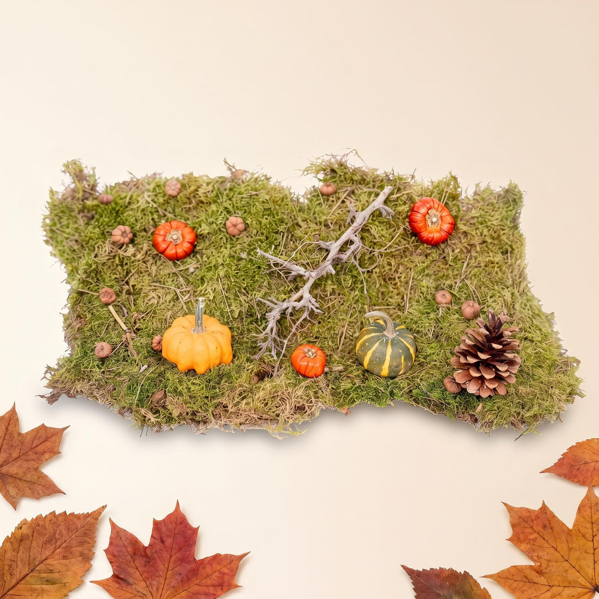 Autumn Deco Kit Medium With 3 Real Pumpkins Ø 6 Cm