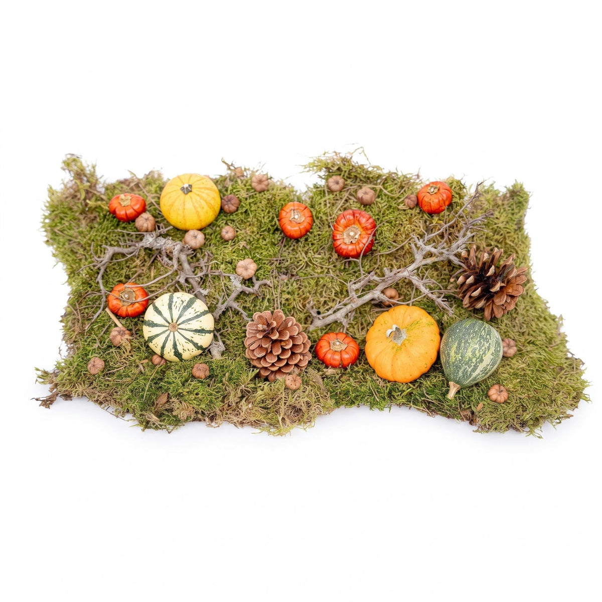 Autumn Deco Kit Large 4 Real Pumpkins Ø 6 Cm + Moss Wood Cones