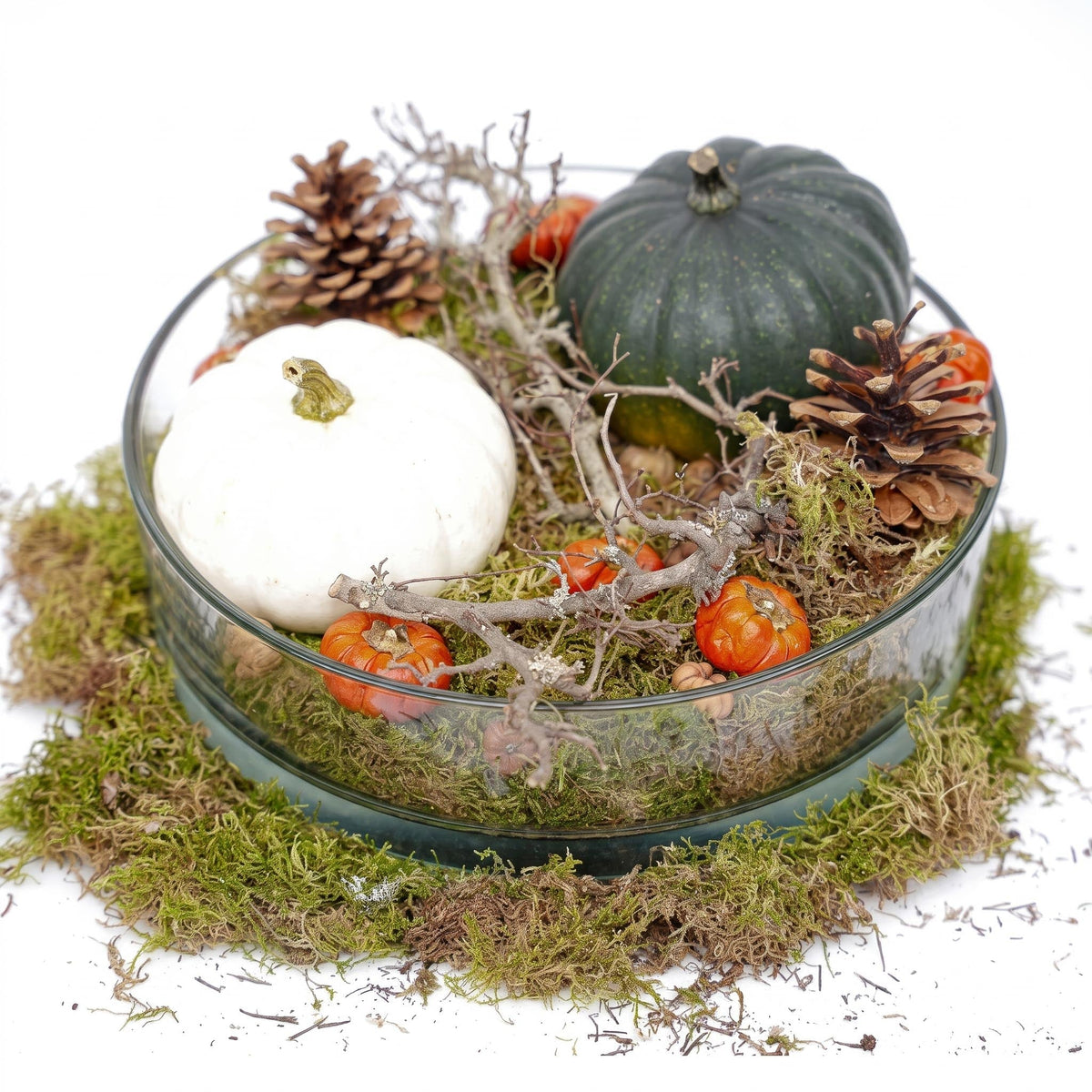 Autumn Bowl Pumpkin Large - Glass With 2 Real Pumpkins Ø 12Cm