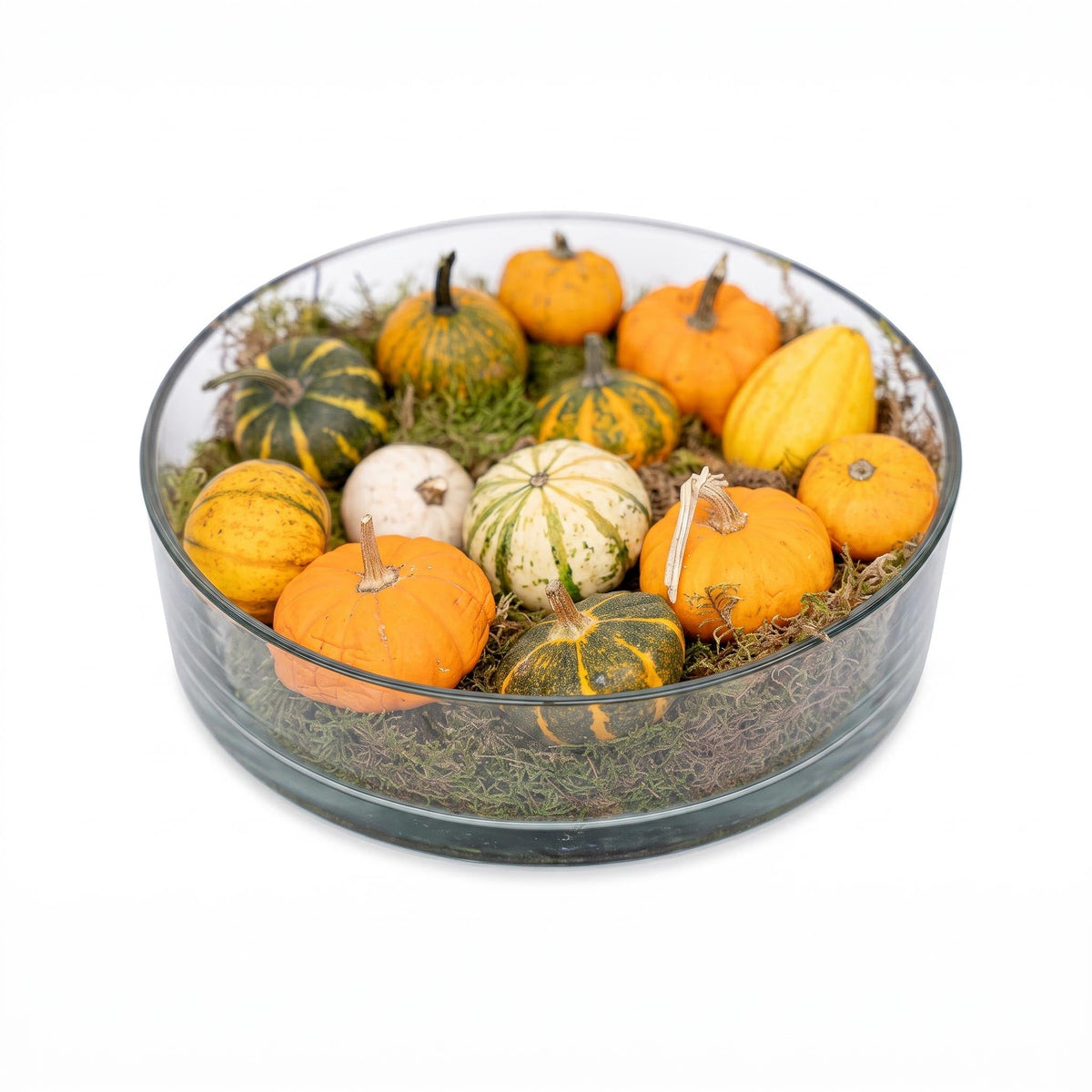 Autumn Bowl Pumpkin Large - Glass 13 Pumpkins Flat Moss - Ø 29 ↑ 8Cm