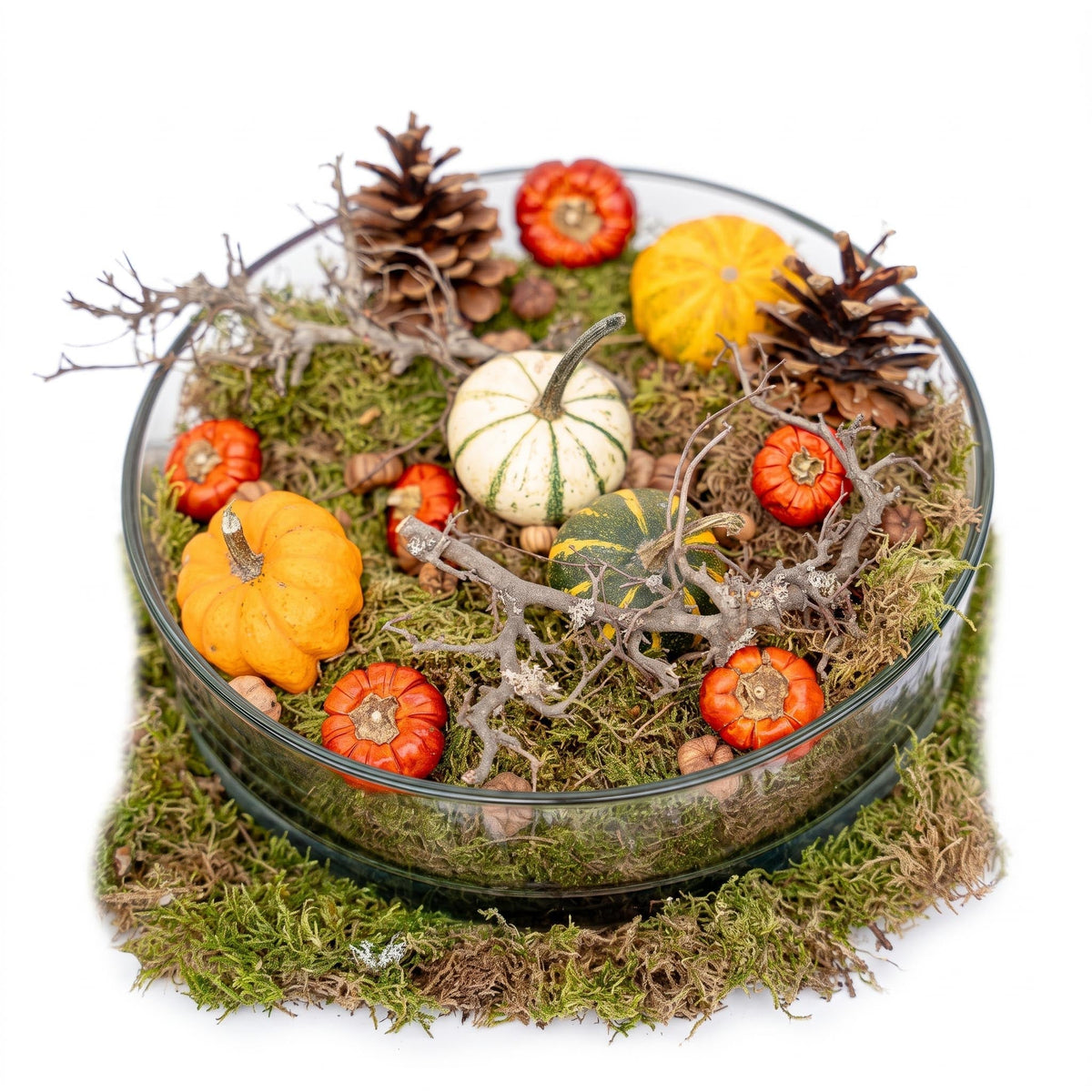 Autumn Bowl Large - Glass Ø 29 Cm With Pumpkins, Moss, Cones