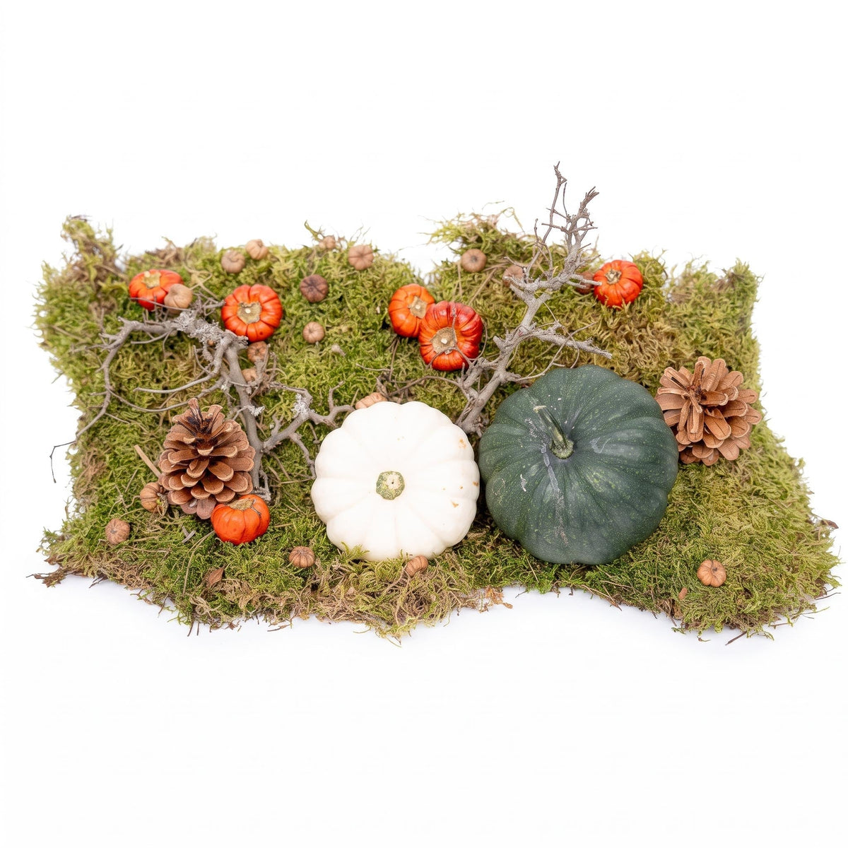 Autumn Deco Kit With 2 Real Pumpkins Ø 12 Cm