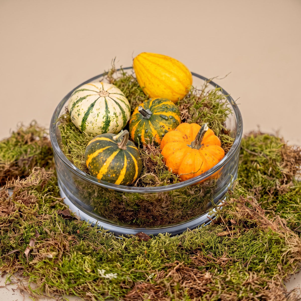 Autumn Bowl Pumpkin Medium - Glass With 5 Real Pumpkins, Moss
