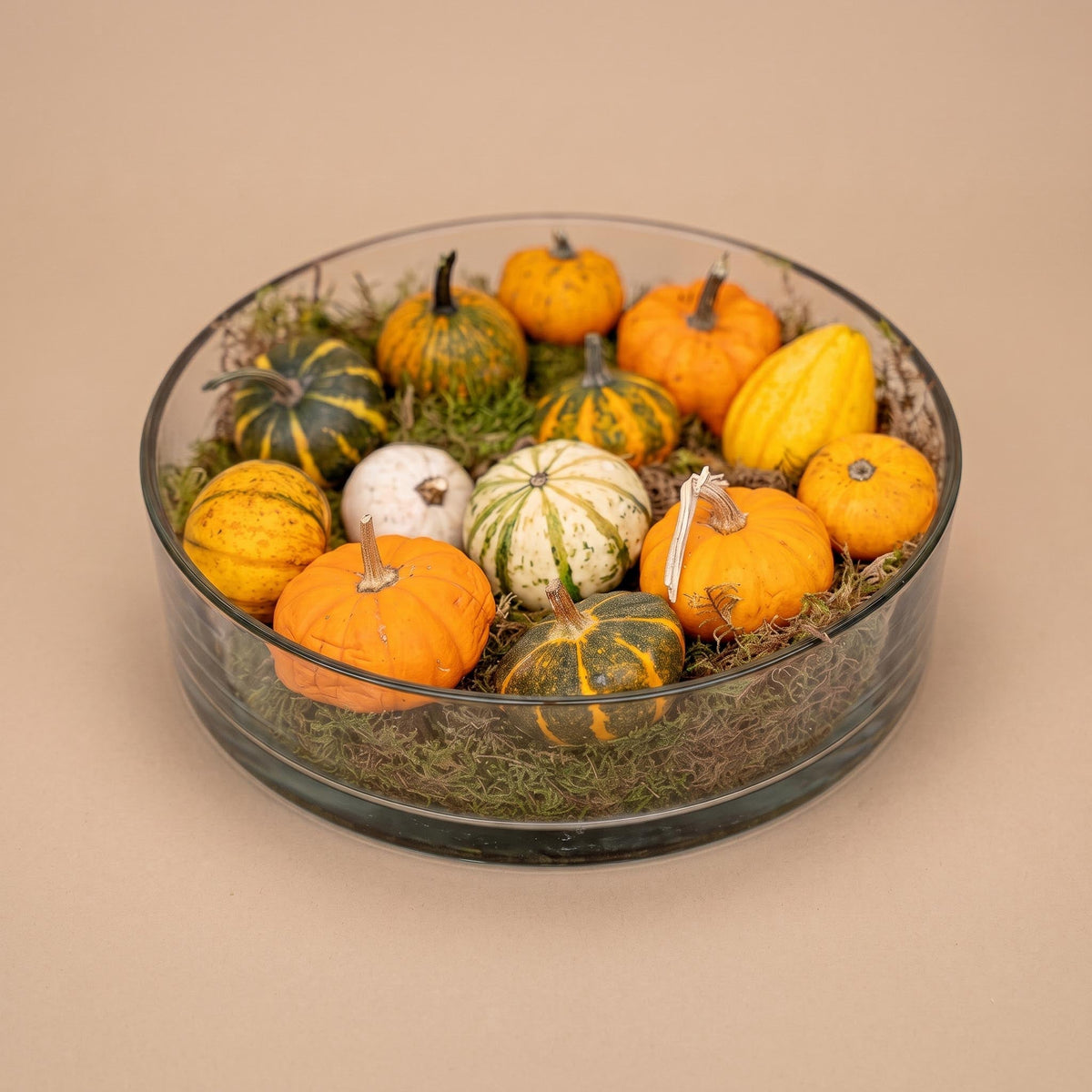 Autumn Bowl Pumpkin Large - Glass 13 Pumpkins Flat Moss - Ø 29 ↑ 8Cm