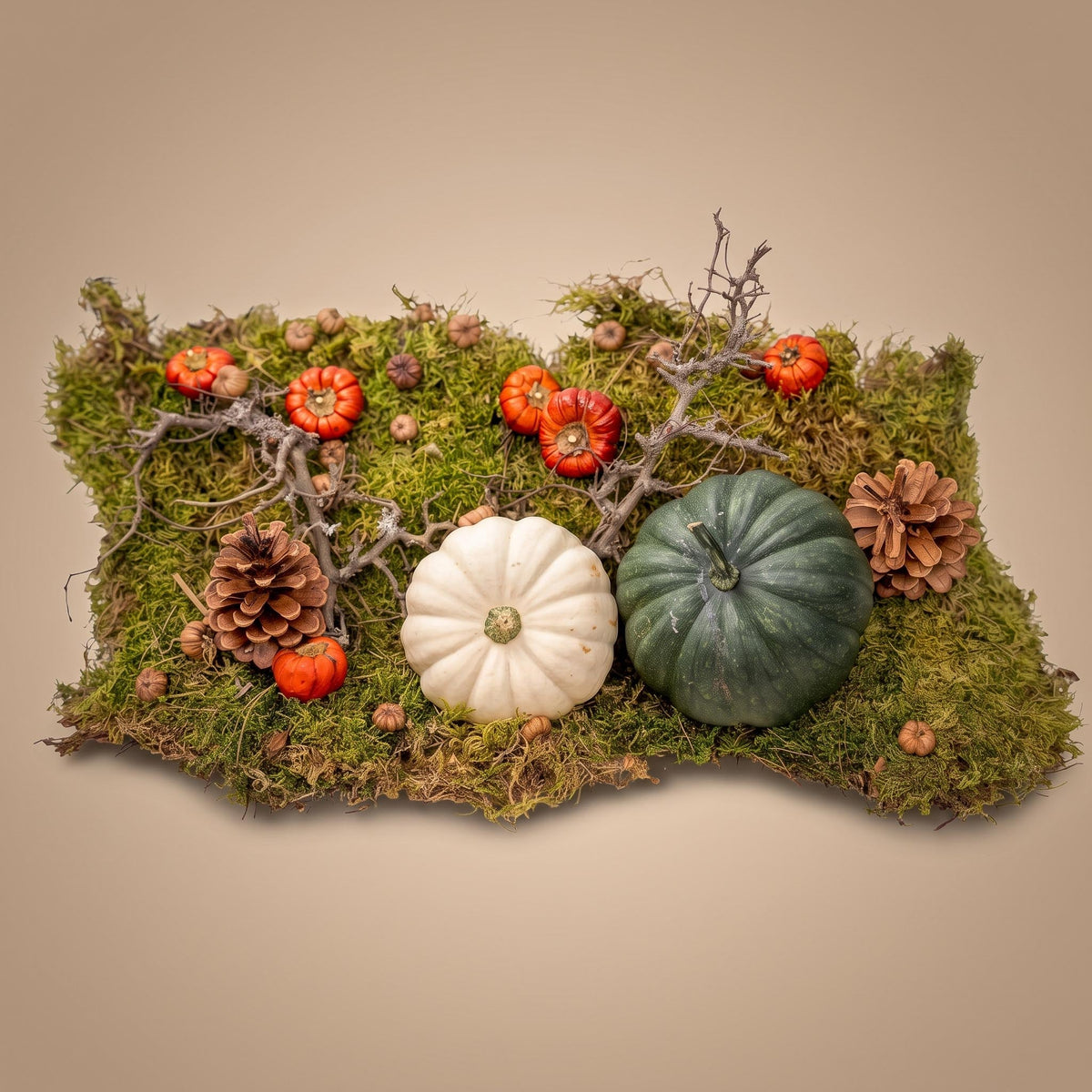 Autumn Deco Kit With 2 Real Pumpkins Ø 12 Cm