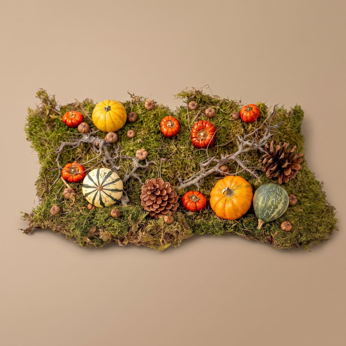 Autumn Deco Kit Large 4 Real Pumpkins Ø 6 Cm + Moss Wood Cones