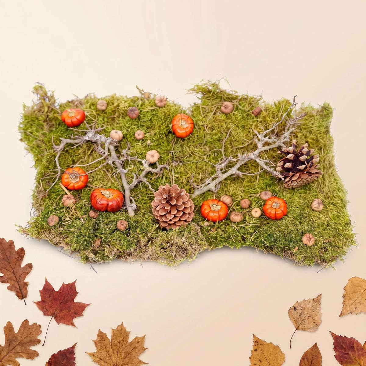 Autumn Deco Kit - Dried Pumpkins, Flat Moss, Bonsai Wood, Cones