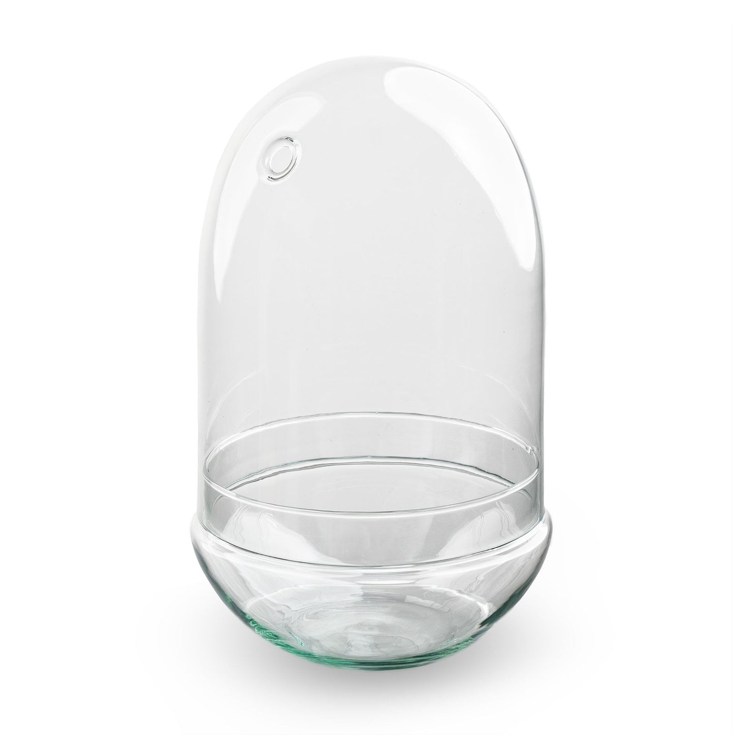 Terrarium Bottle ‘Egg Xl’ – Two-Part Glass Dome – Closed Terrarium Ø 17.5 Cm ↑ 30 Cm