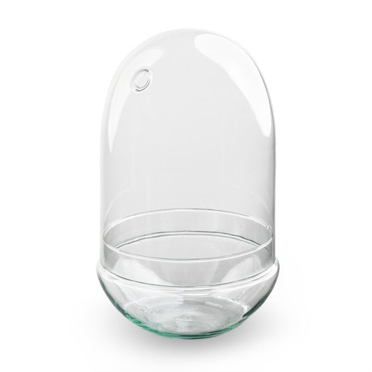 Terrarium Bottle ‘Egg Xl’ – Two-Part Glass Dome – Closed Terrarium Ø 17.5 Cm ↑ 30 Cm