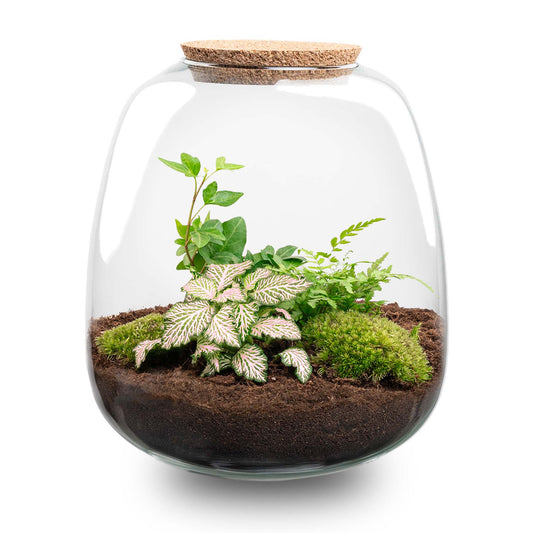 Terrarium Emma - Ø 23 Cm ↑ 25 Cm - Relatiegeschenk