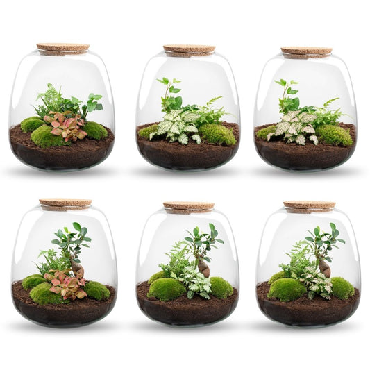Emma - Terrarium With Light - Bottle Garden Diy Kit - Ø 23 Cm ↑ 25 Cm