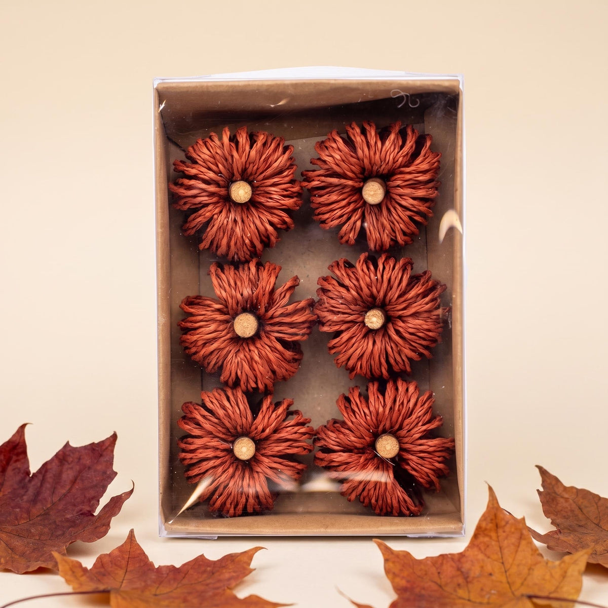 Pumpkin Brown - Ø 4 Cm - 6 Pcs - Natuteral Material